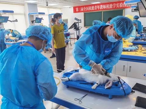 2025澳门免费原料网站