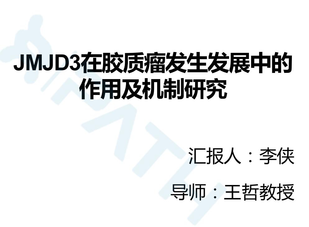 2025澳门免费原料网站
