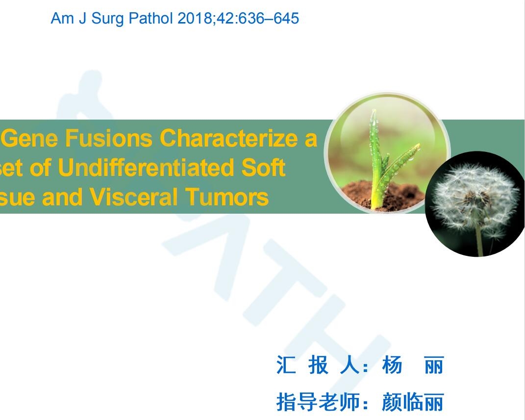2025澳门免费原料网站