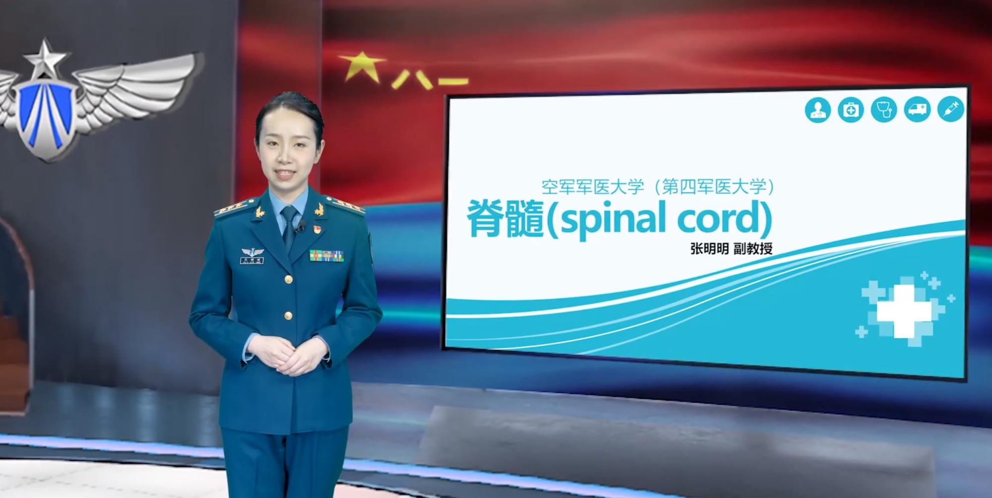 2025澳门免费原料网站
