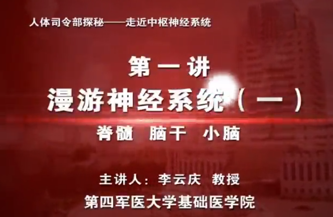 2025澳门免费原料网站