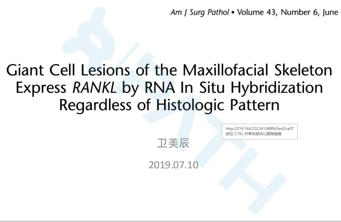 2025澳门免费原料网站