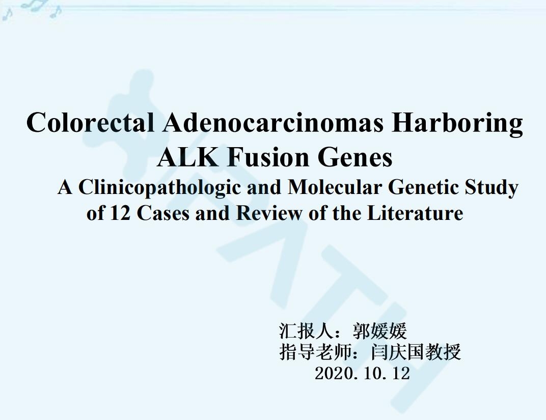 2025澳门免费原料网站