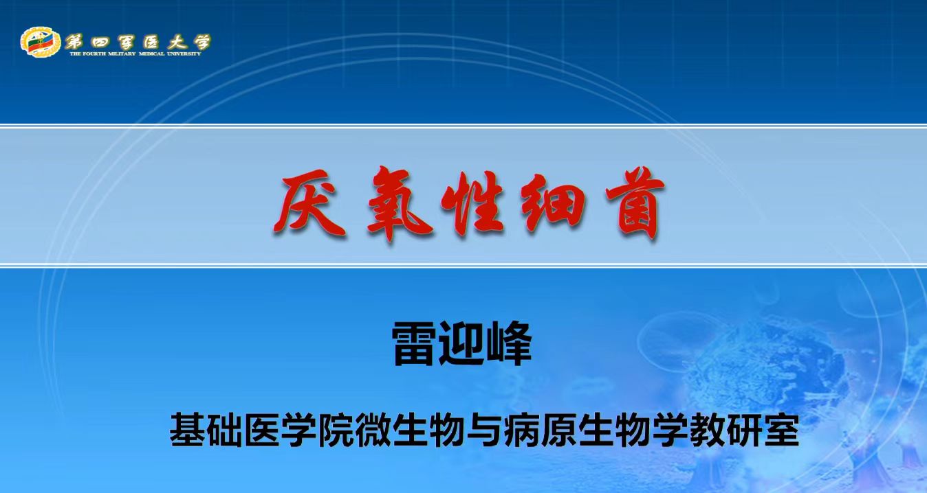 2025澳门免费原料网站