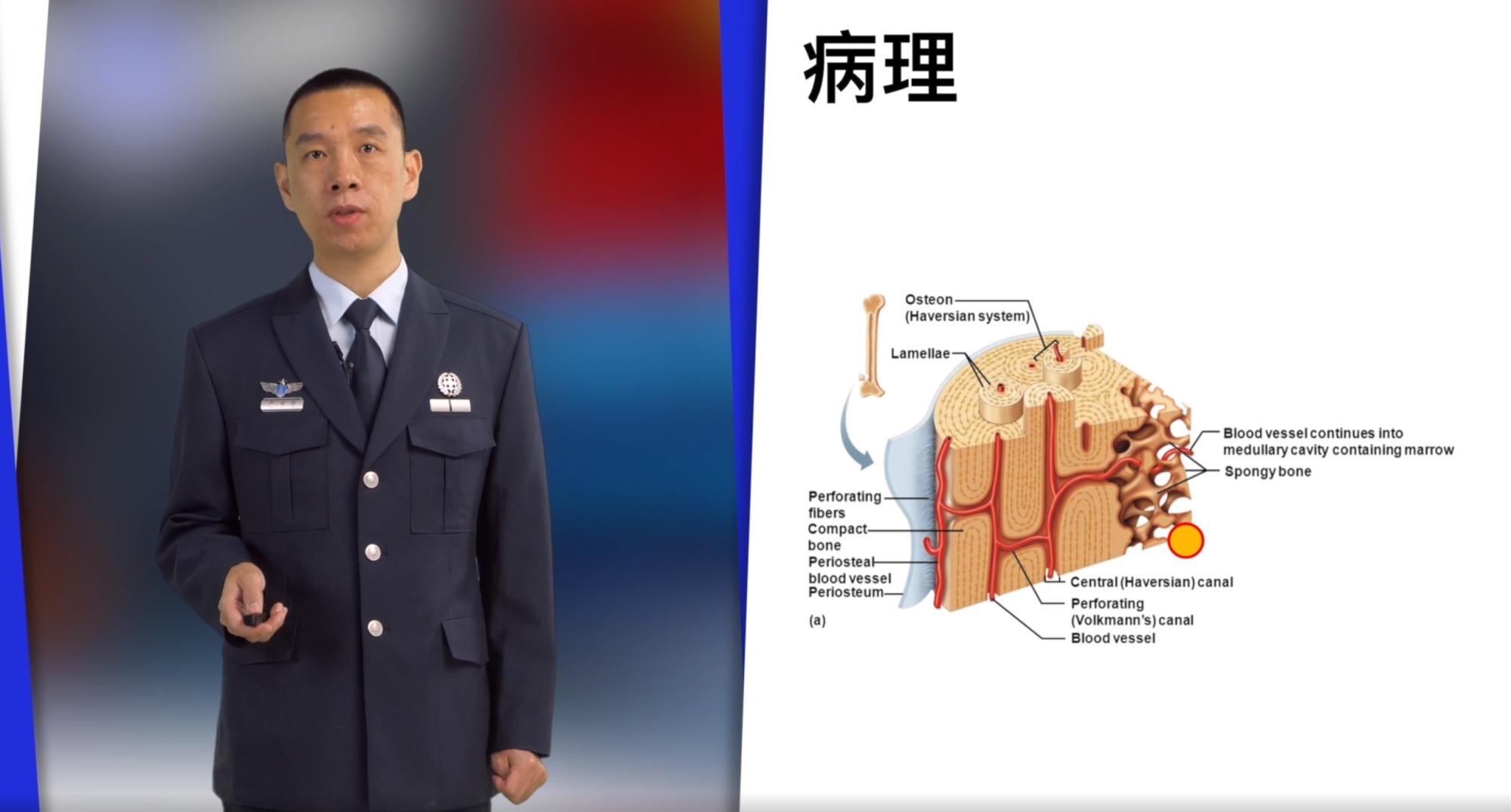 2025澳门免费原料网站