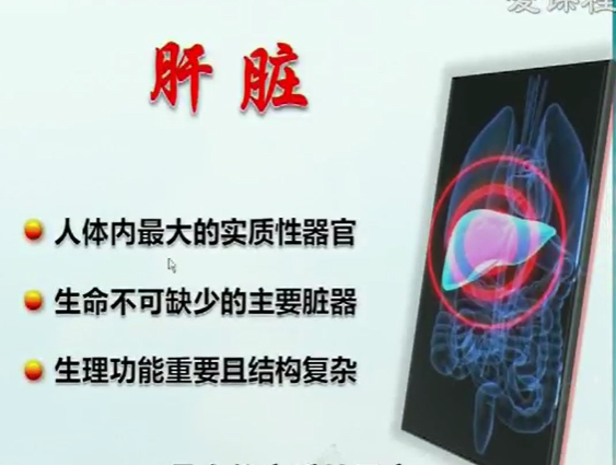 2025澳门免费原料网站