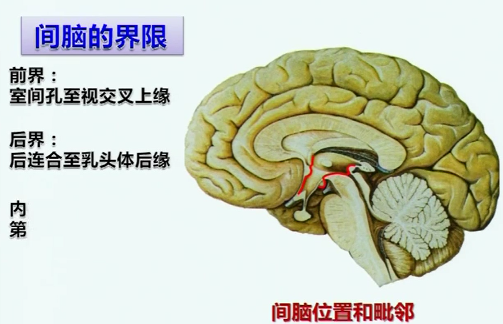 2025澳门免费原料网站