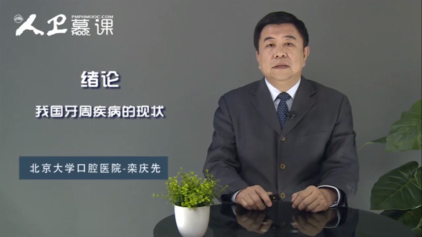 2025澳门免费原料网站