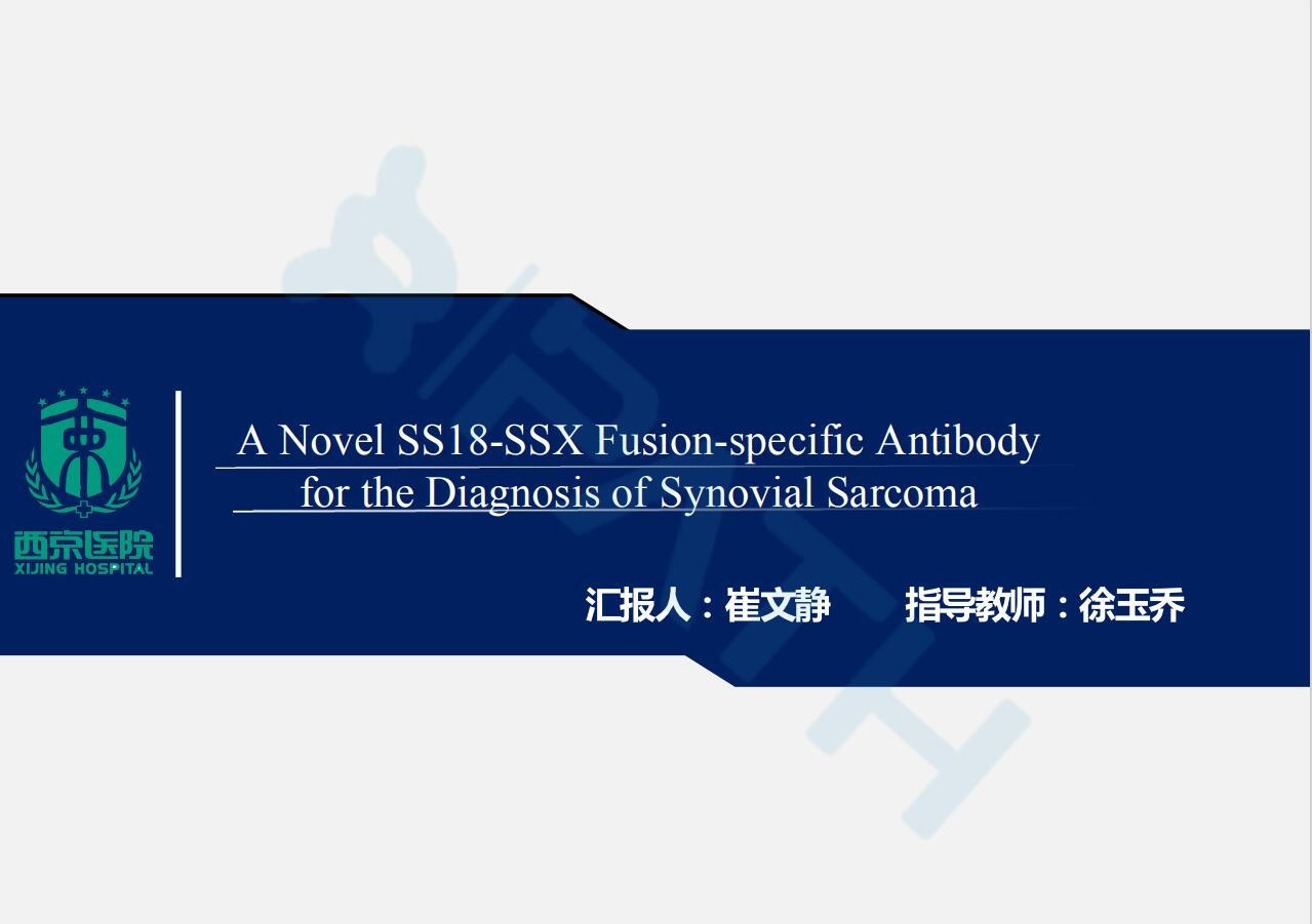 2025澳门免费原料网站