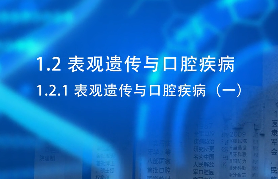 2025澳门免费原料网站