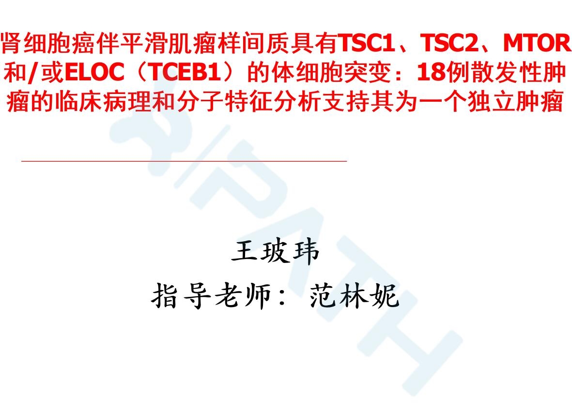 2025澳门免费原料网站