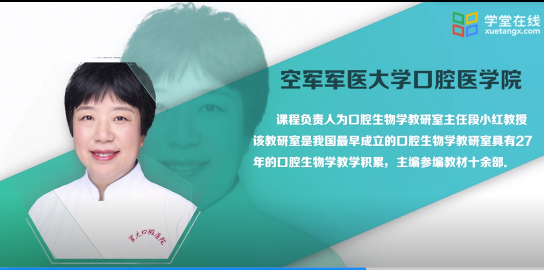 2025澳门免费原料网站
