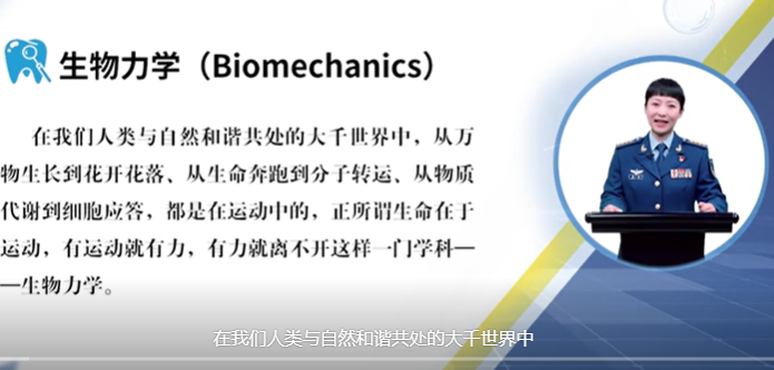 2025澳门免费原料网站