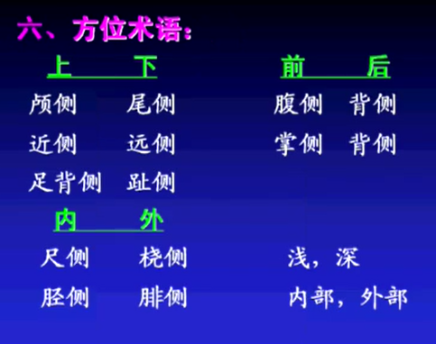 2025澳门免费原料网站