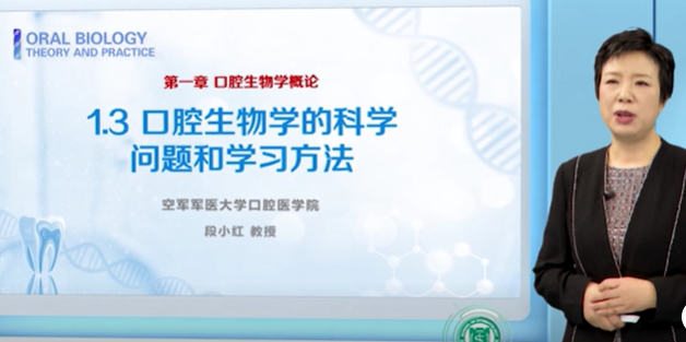 2025澳门免费原料网站