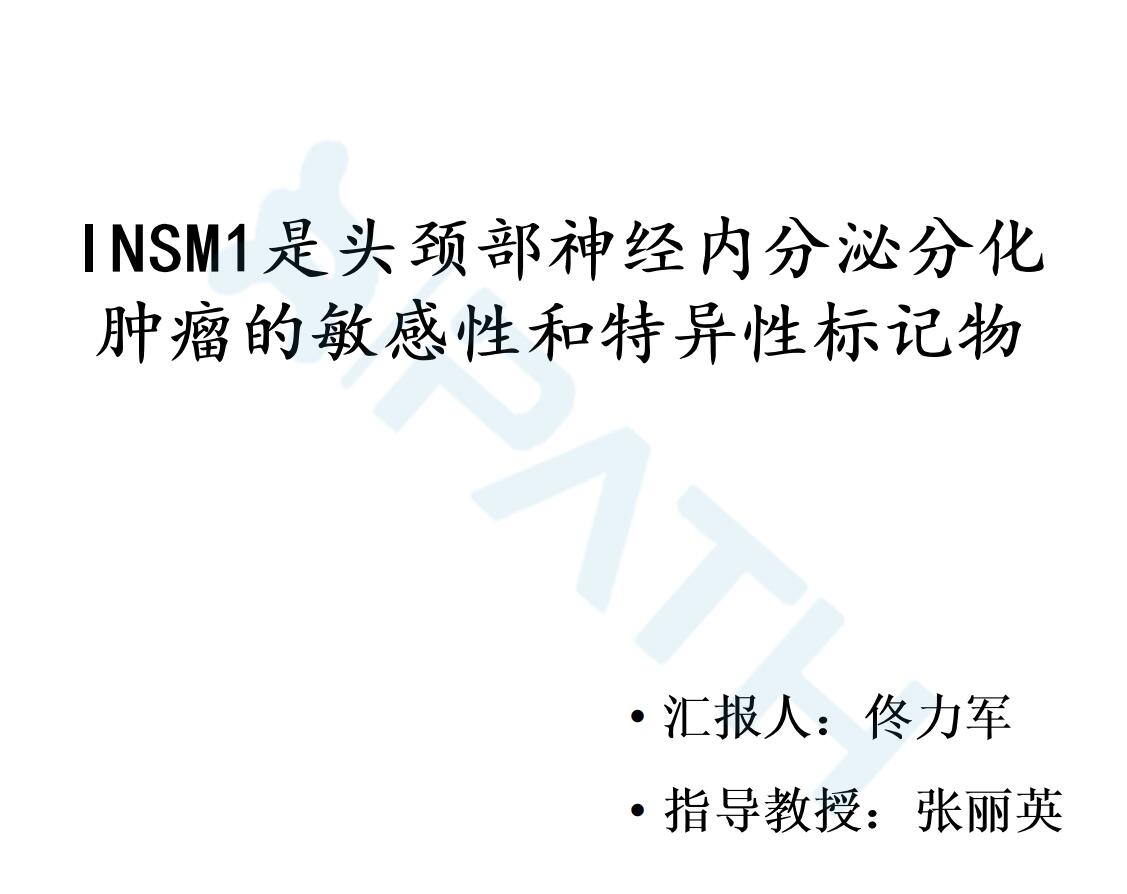 2025澳门免费原料网站