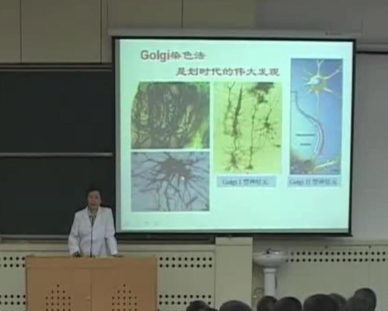 2025澳门免费原料网站