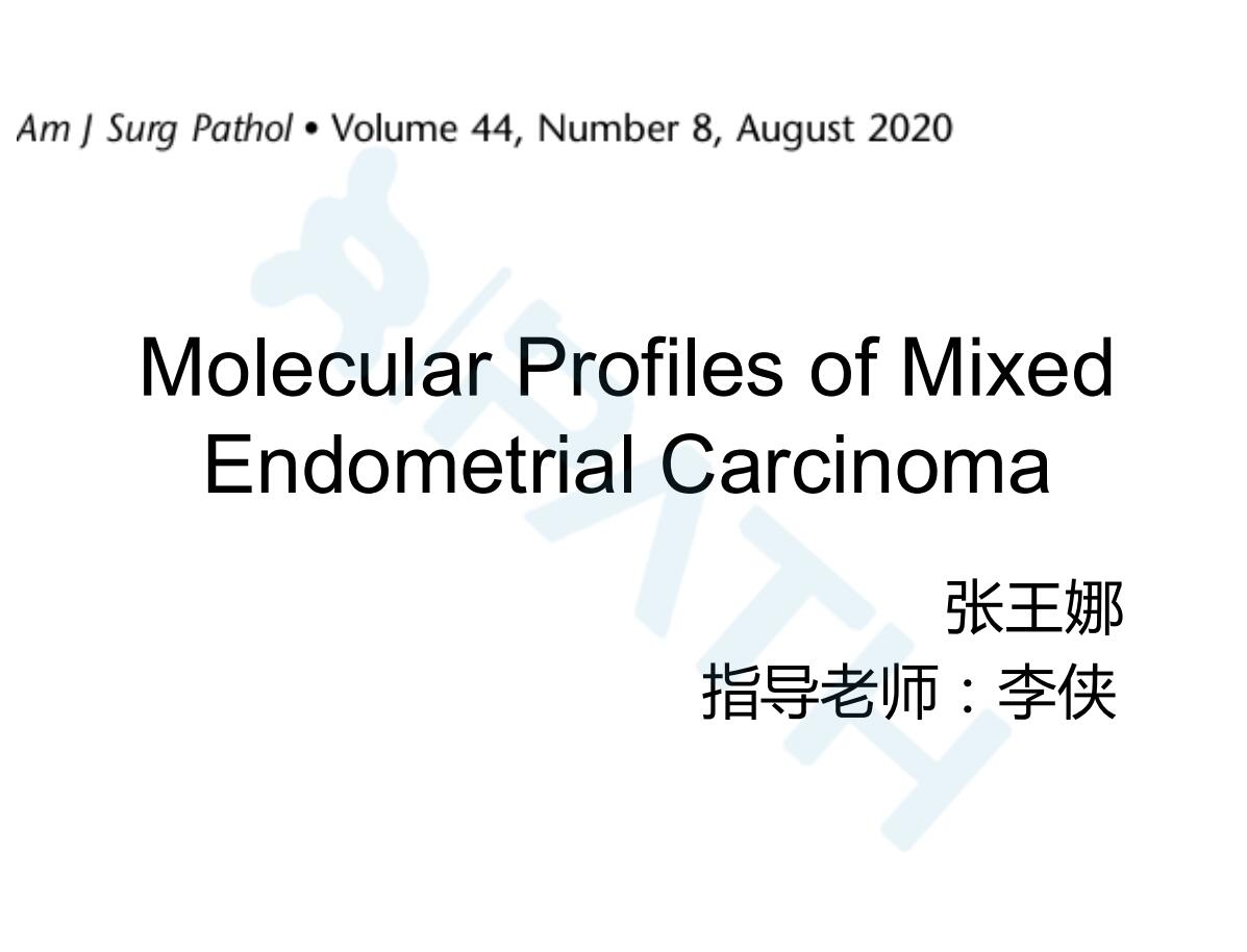 2025澳门免费原料网站