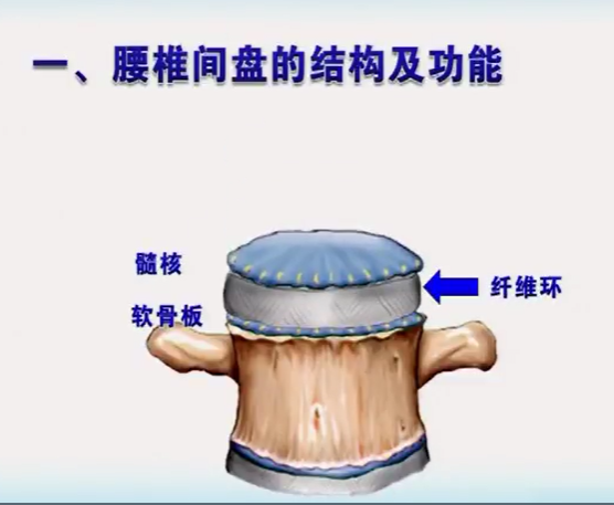 2025澳门免费原料网站