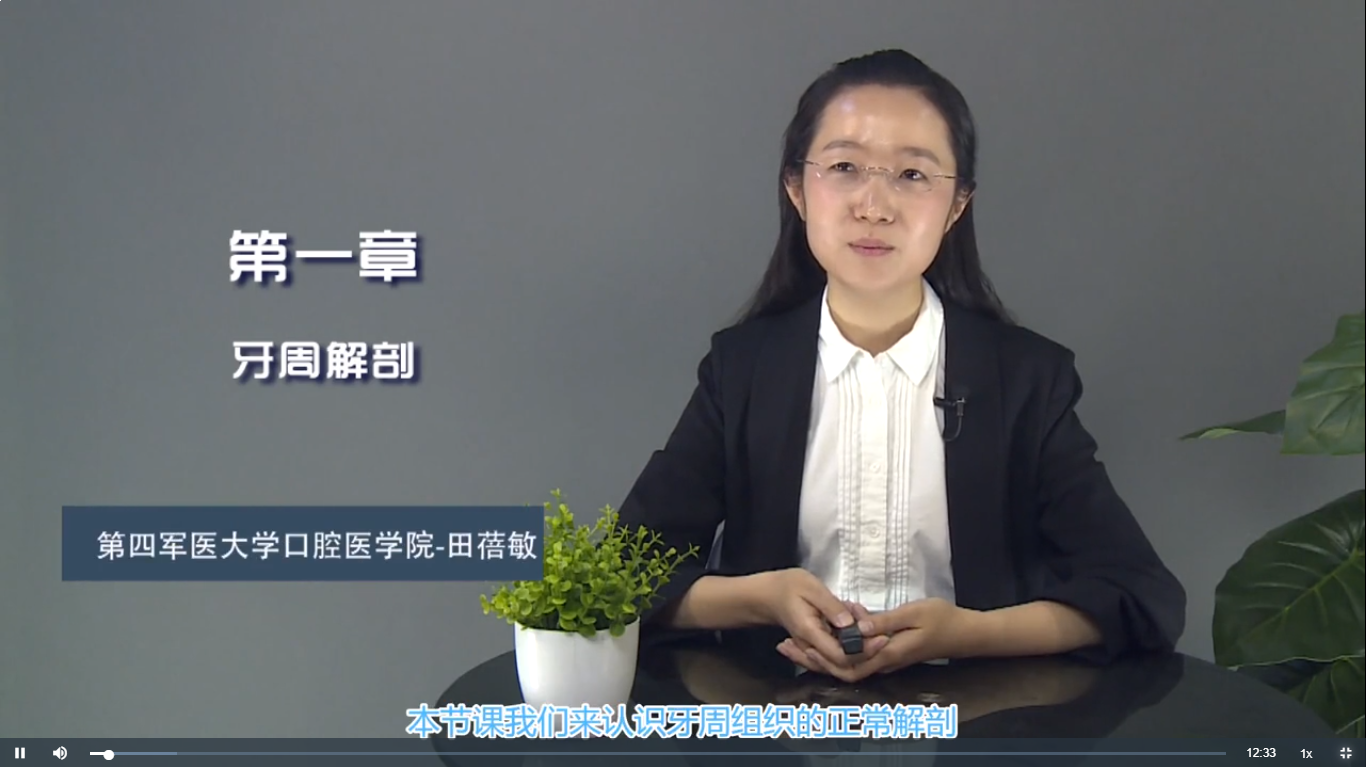 2025澳门免费原料网站