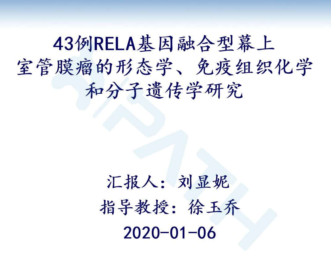 2025澳门免费原料网站