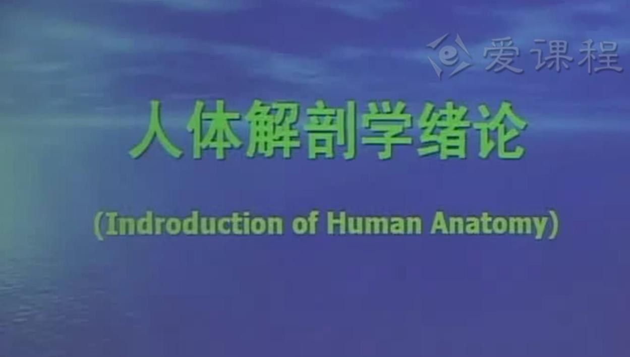 2025澳门免费原料网站