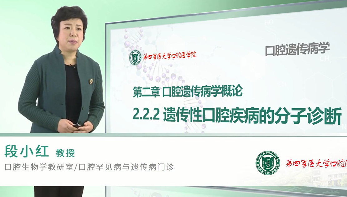 2025澳门免费原料网站