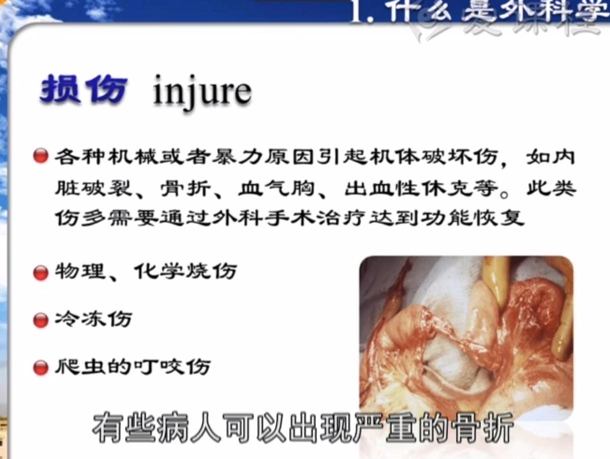 2025澳门免费原料网站