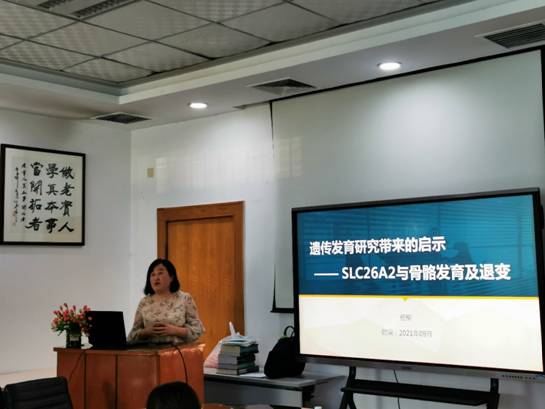 2025澳门免费原料网站