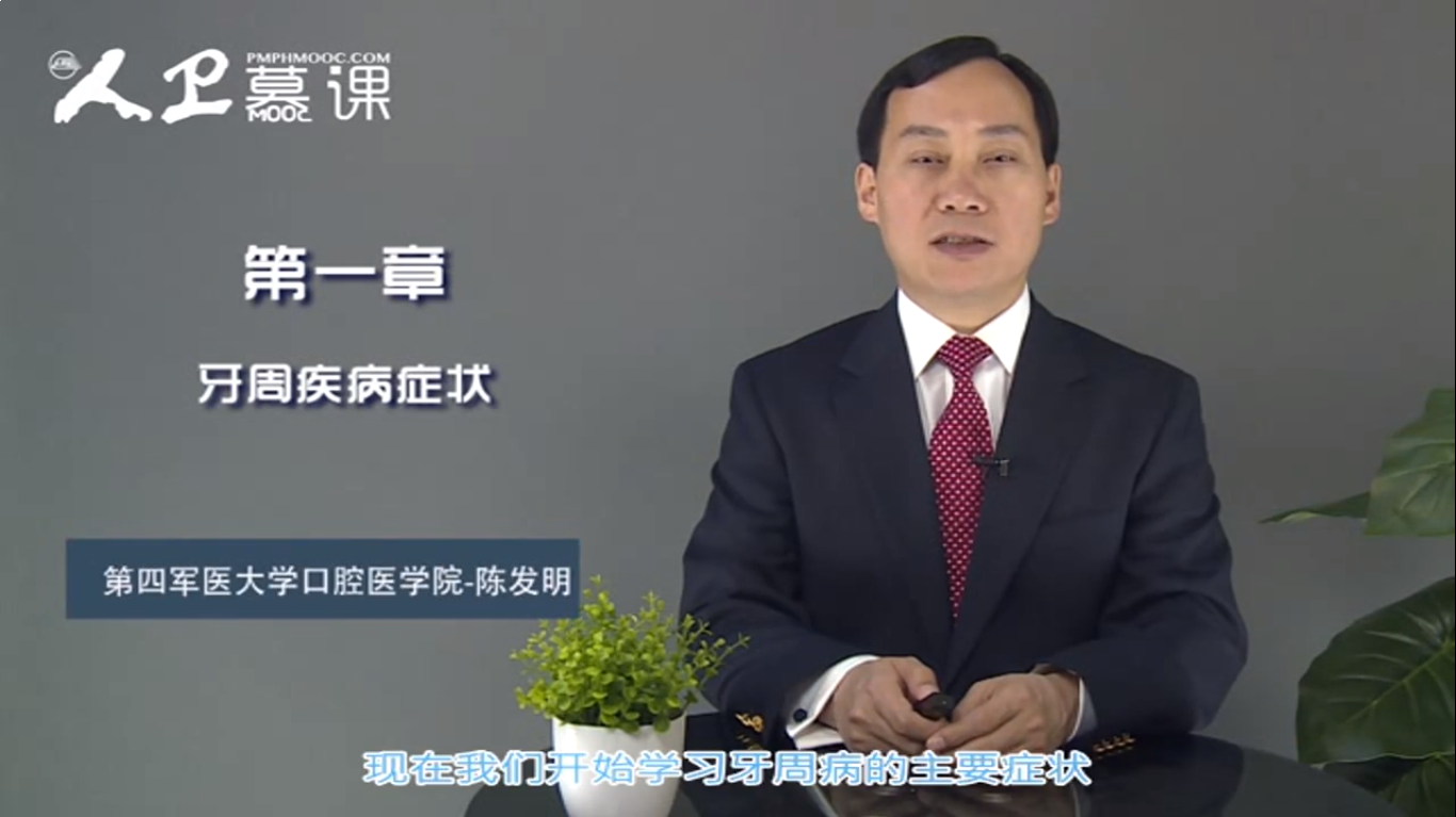 2025澳门免费原料网站
