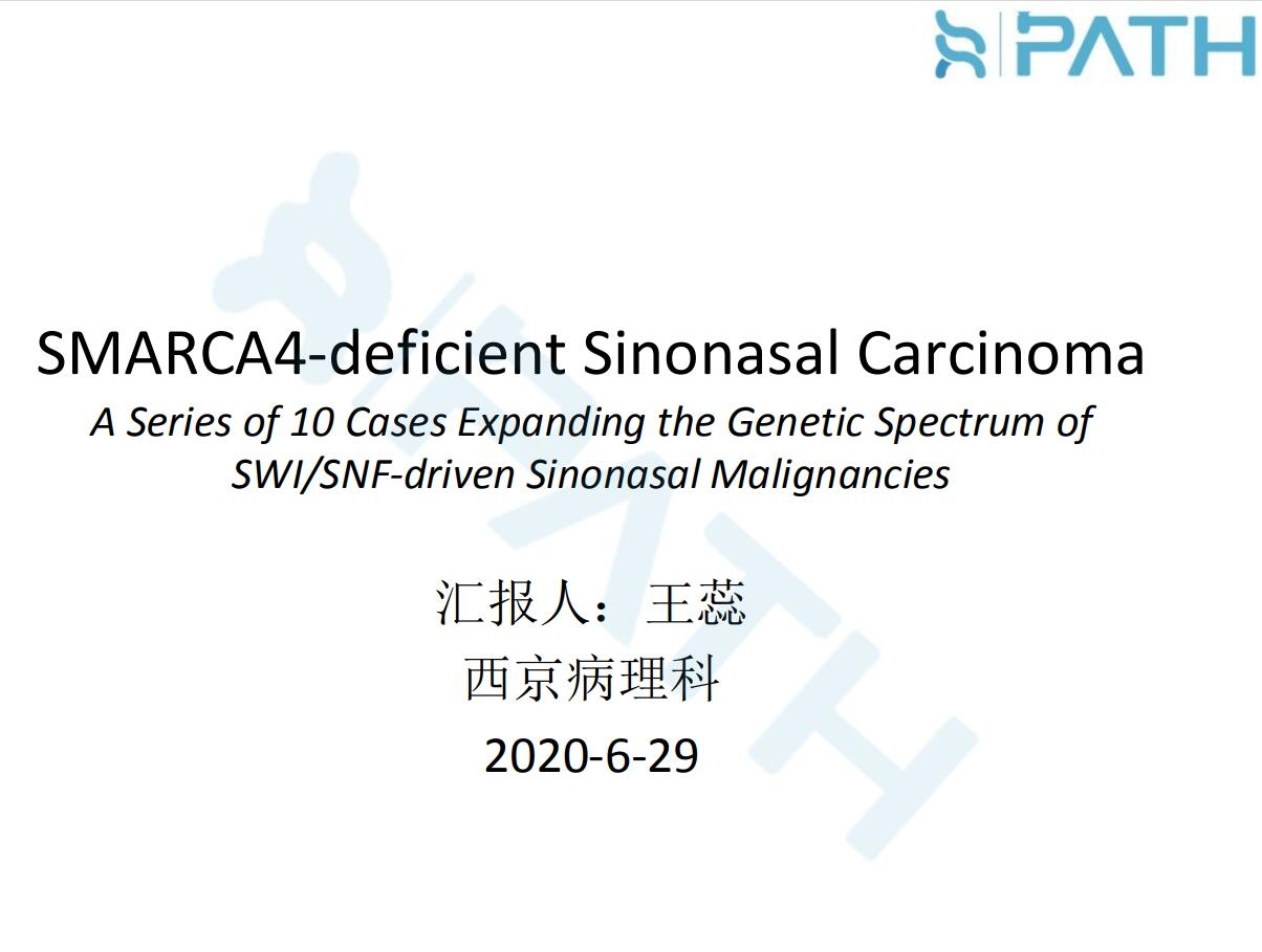 2025澳门免费原料网站