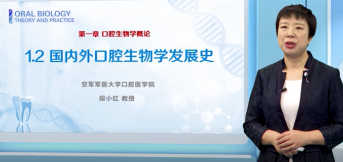 2025澳门免费原料网站