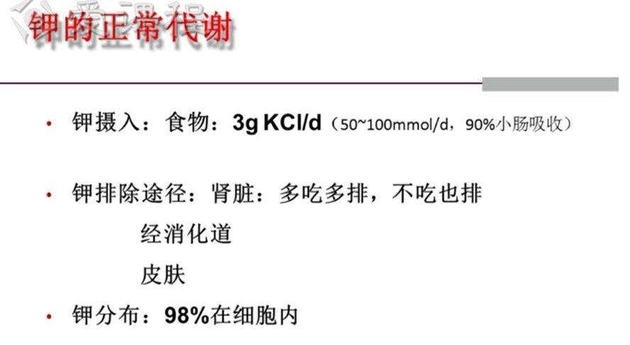 2025澳门免费原料网站