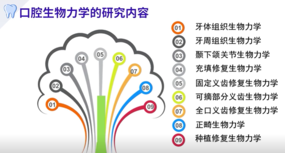 2025澳门免费原料网站