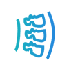 2025澳门免费原料网站