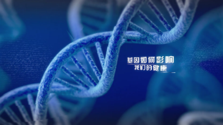 2025澳门免费原料网站