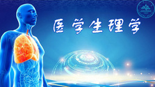 2025澳门免费原料网站