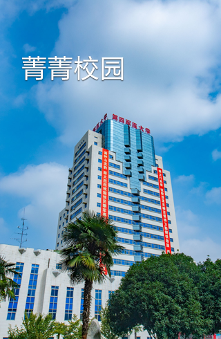 2025澳门免费原料网站