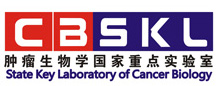 2025澳门免费原料网站