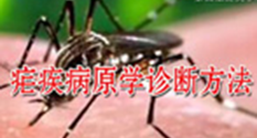 2025澳门免费原料网站