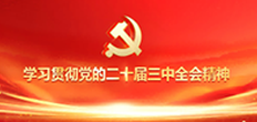 2025澳门免费原料网站