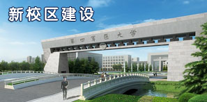 2025澳门免费原料网站