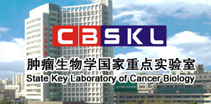 2025澳门免费原料网站