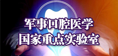 2025澳门免费原料网站
