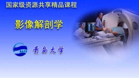 2025澳门免费原料网站