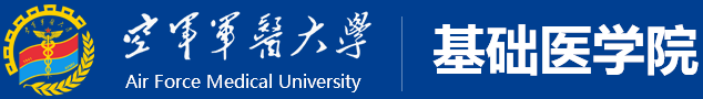 2025澳门免费原料网站