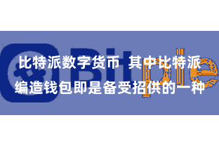 比特派数字货币  其中比特派编造钱包即是备受招供的一种