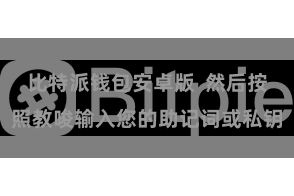 比特派钱包安卓版  然后按照教唆输入您的助记词或私钥